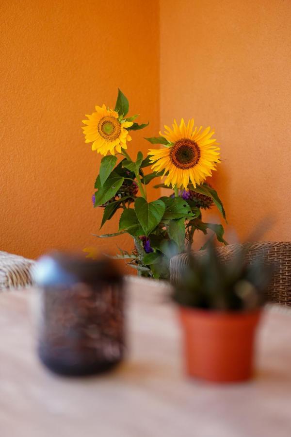 Apartament Maslina & Lavanda Podstrana Zewnętrze zdjęcie