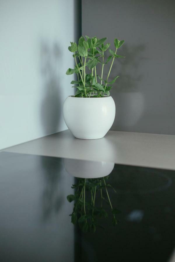 Apartament Maslina & Lavanda Podstrana Zewnętrze zdjęcie